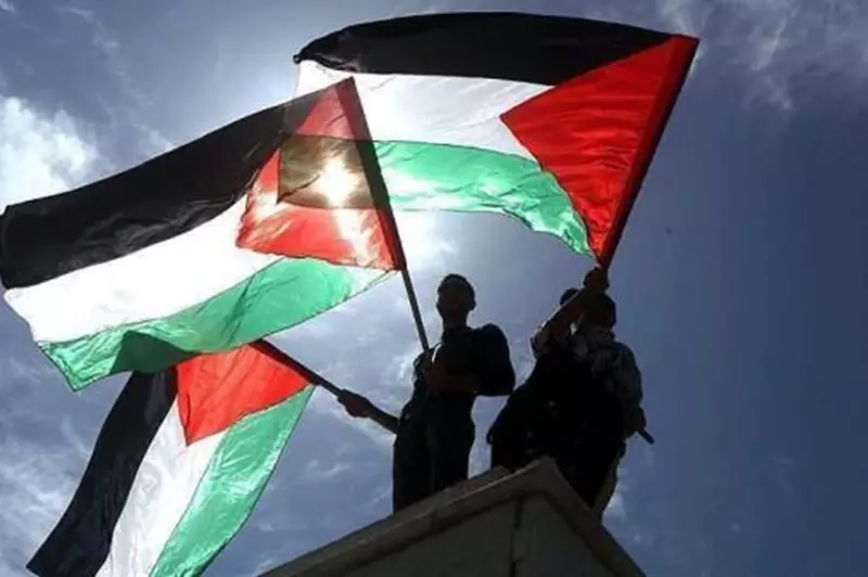 النرويج تتضامن مع فلسطين: عائدات مباراة مع الكيان الصهيوني لدعم جهود إنقاذ الأرواح في غزة